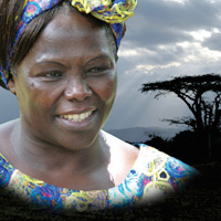 FDL 2009 | Taking Root : The Vision of Wangari Maathai 